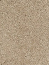 We offer a wide selection of Carpet!  Click here to learn more!