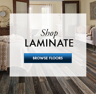 Shop Laminate